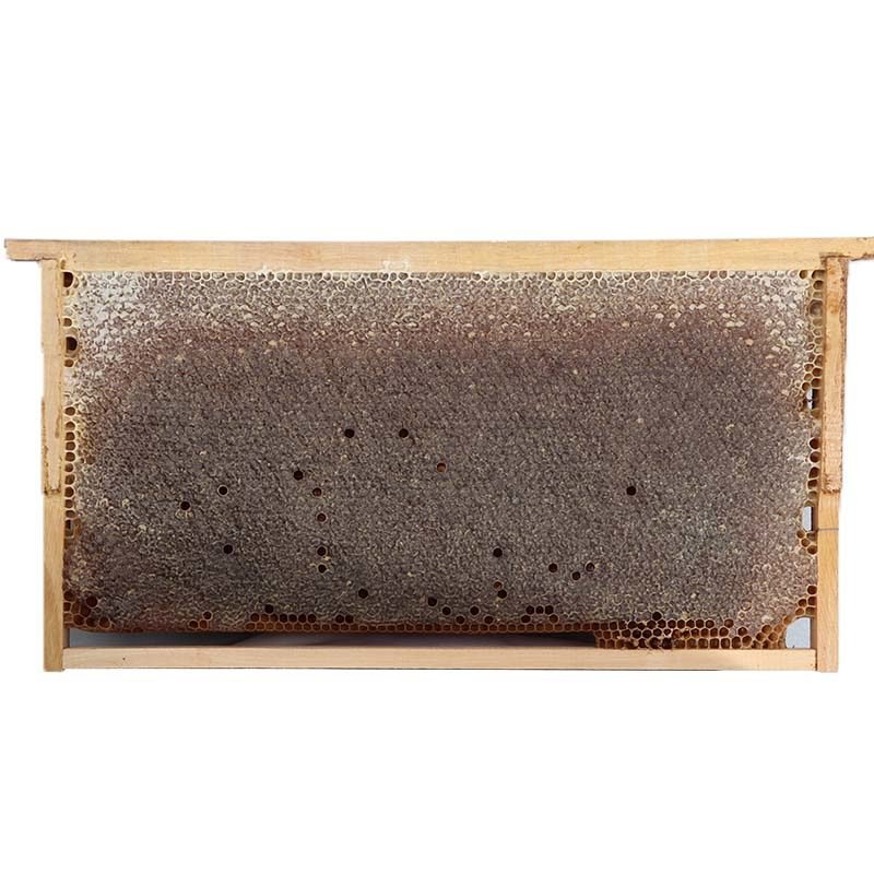 Sivas Petekli Bal 1000 Gr